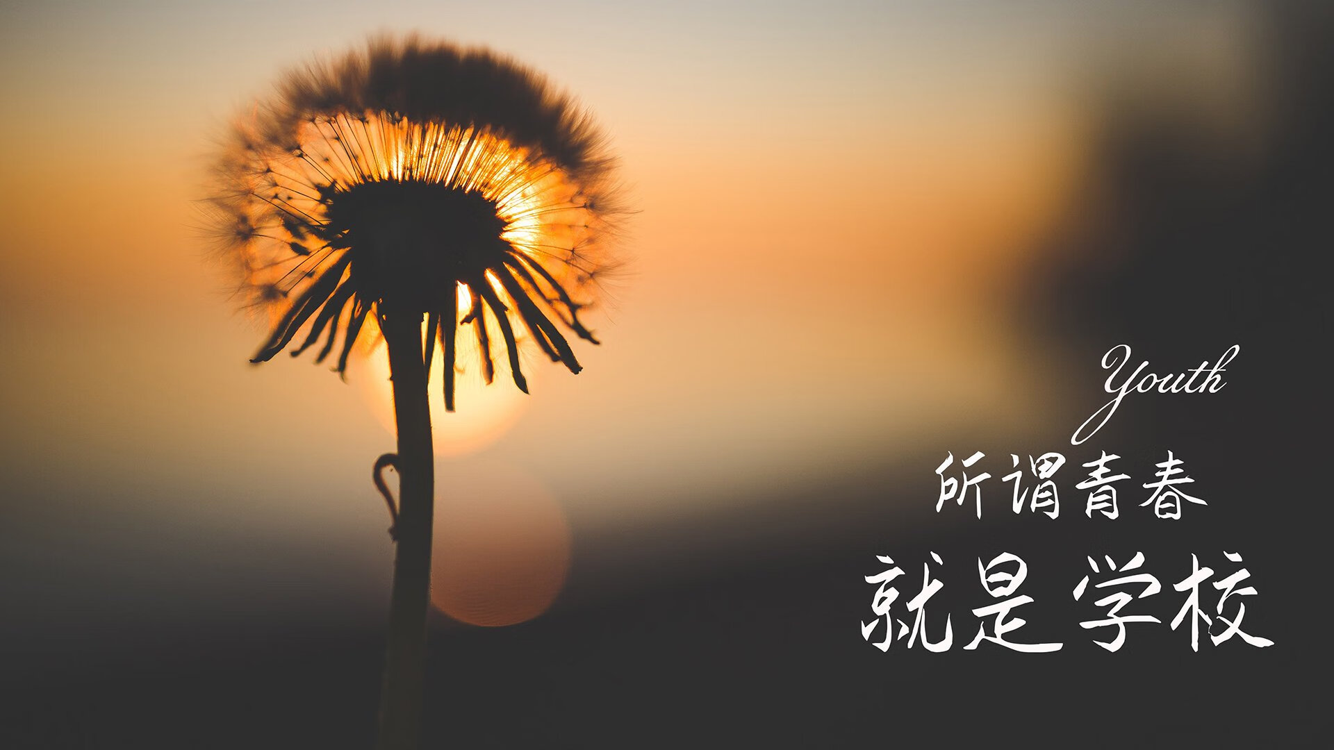 西甲国家德比之夜，当锡安用一记扣篮完成世纪舞蹈，斗牛士的地盘上来了位艺术家