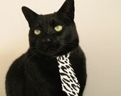 天使之翼与高地风暴，迪马利亚爆发与苏格兰淘汰澳大利亚的双重奏