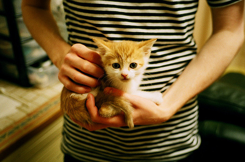 当爱德华兹撕裂防线,深圳队跨时空掘金