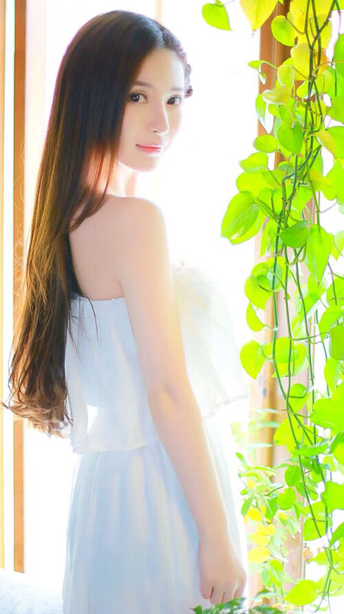 独奏与交响,东契奇的绝妙指挥与快船的团队和弦