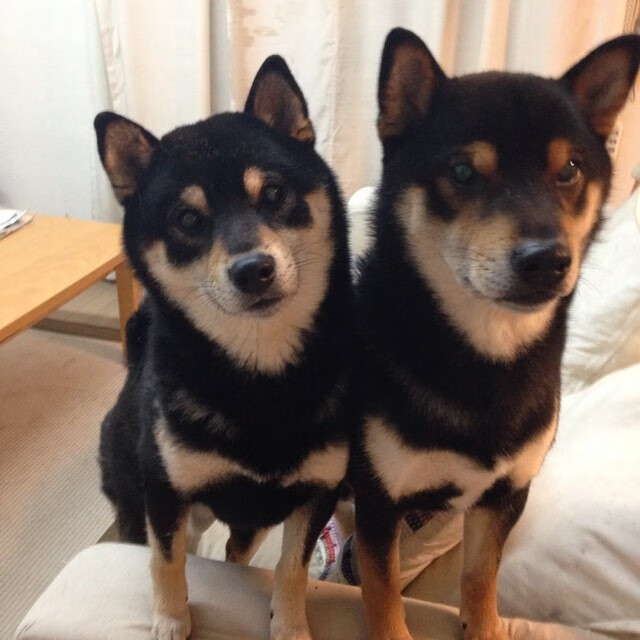 当国王在中国爆冷，真国王在世界杯加冕，体育叙事中的偶然与王权