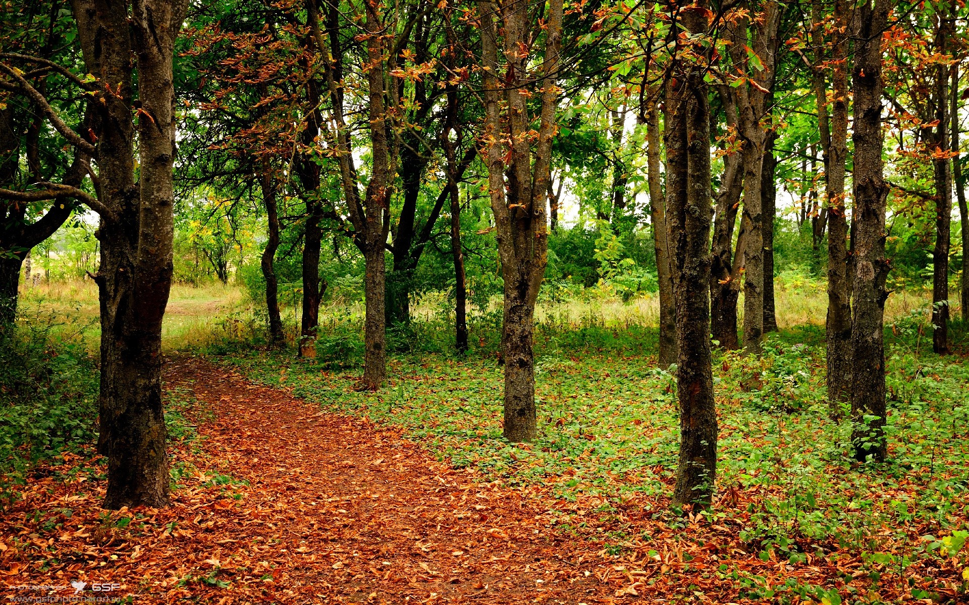 虚构巅峰对决，当广东队的快刃切开马刺的体系之盾