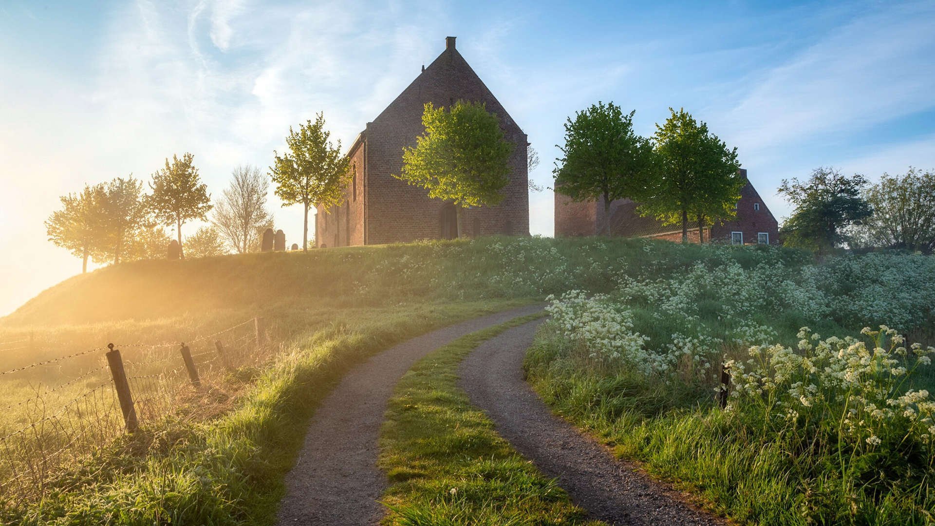 橄榄枝与石头,斯通斯破开新西兰神话的一夜