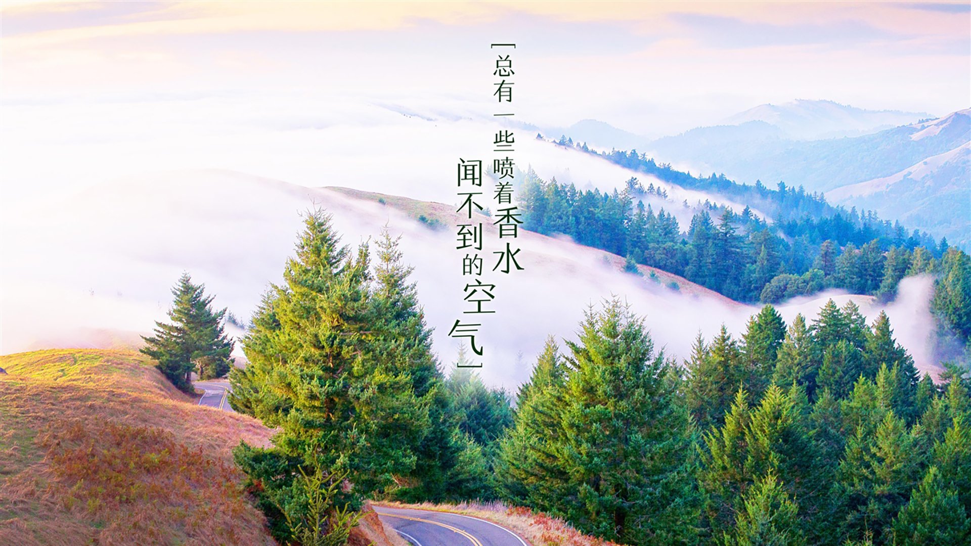 唯一北欧德比，布罗佐维奇快字当头，瑞典两击致命挪威