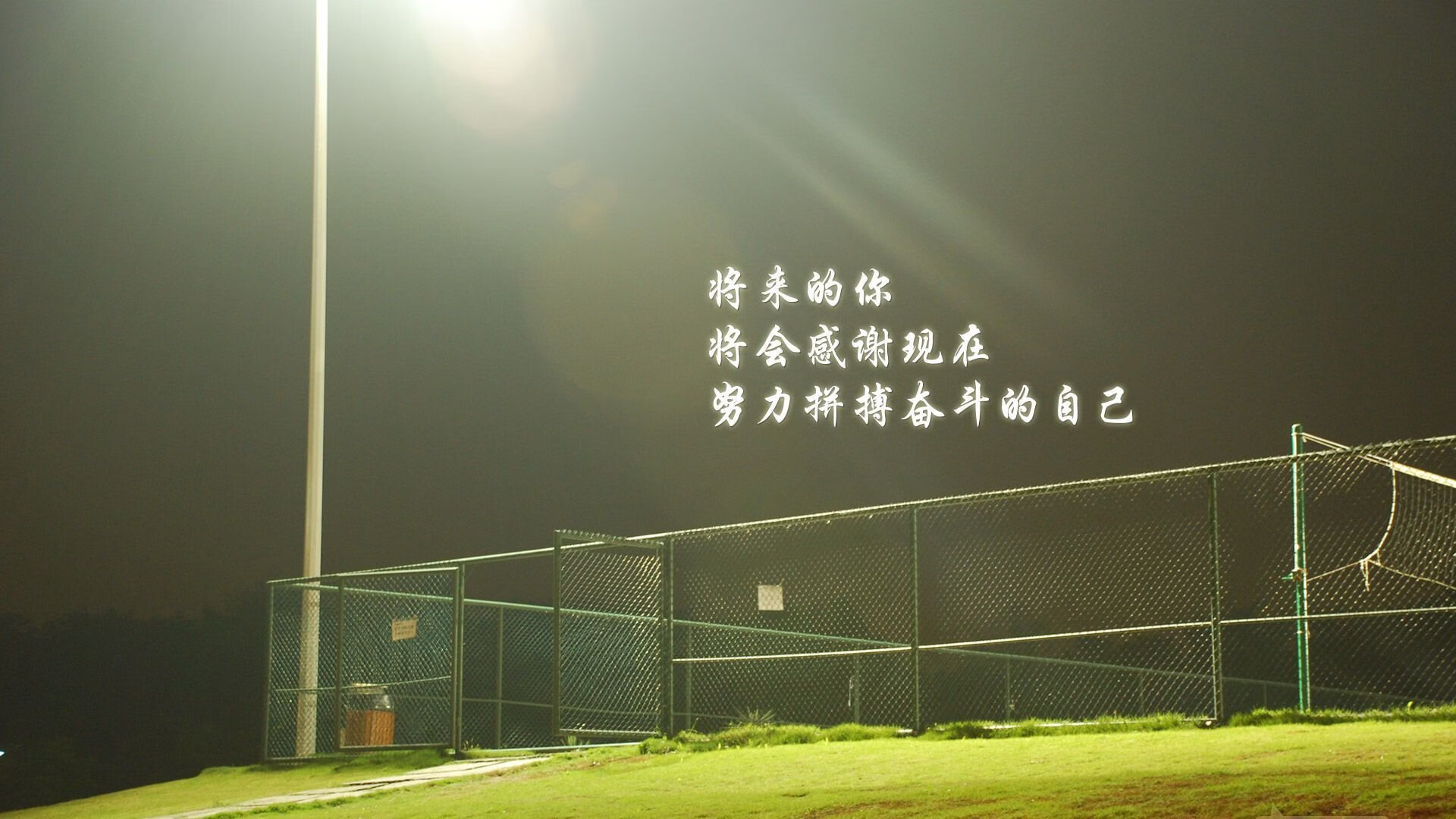 桑巴之网下的唯一困局,当控球成为叙事,坎塞洛的左脚如何为巴西写下H组的冰冷判词
