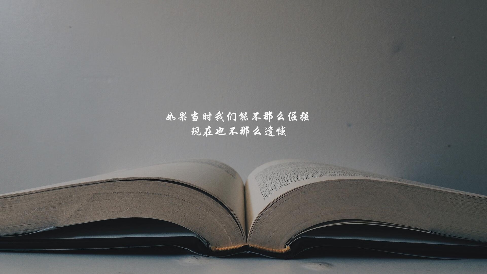 唯一路口，2026，布罗佐维奇与沙漠玫瑰的告白