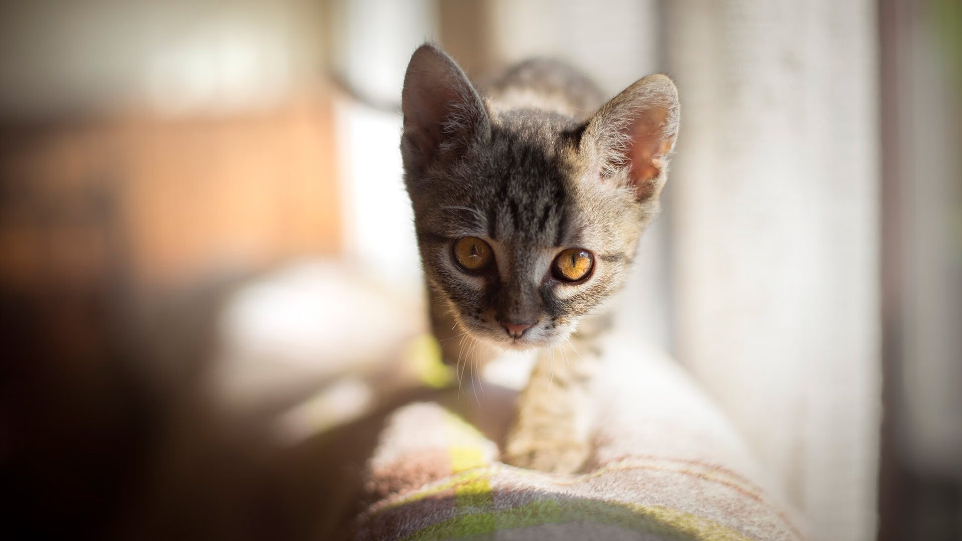 赫尔辛基的极光焰火，当北欧童话刺穿南美烈焰，德容于零点一克间书写唯一