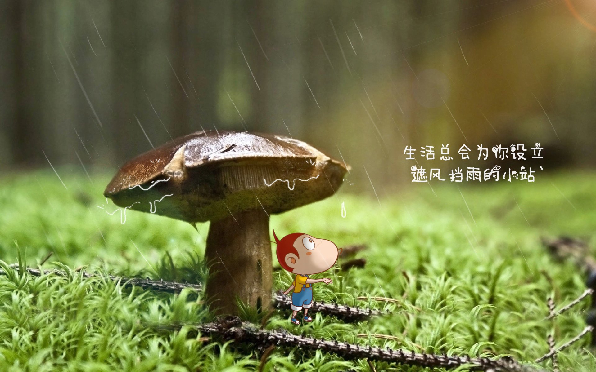 安第斯山脉的雪崩，当德国战车在马瑙斯雨林熄火，B费成为G组最亮的星